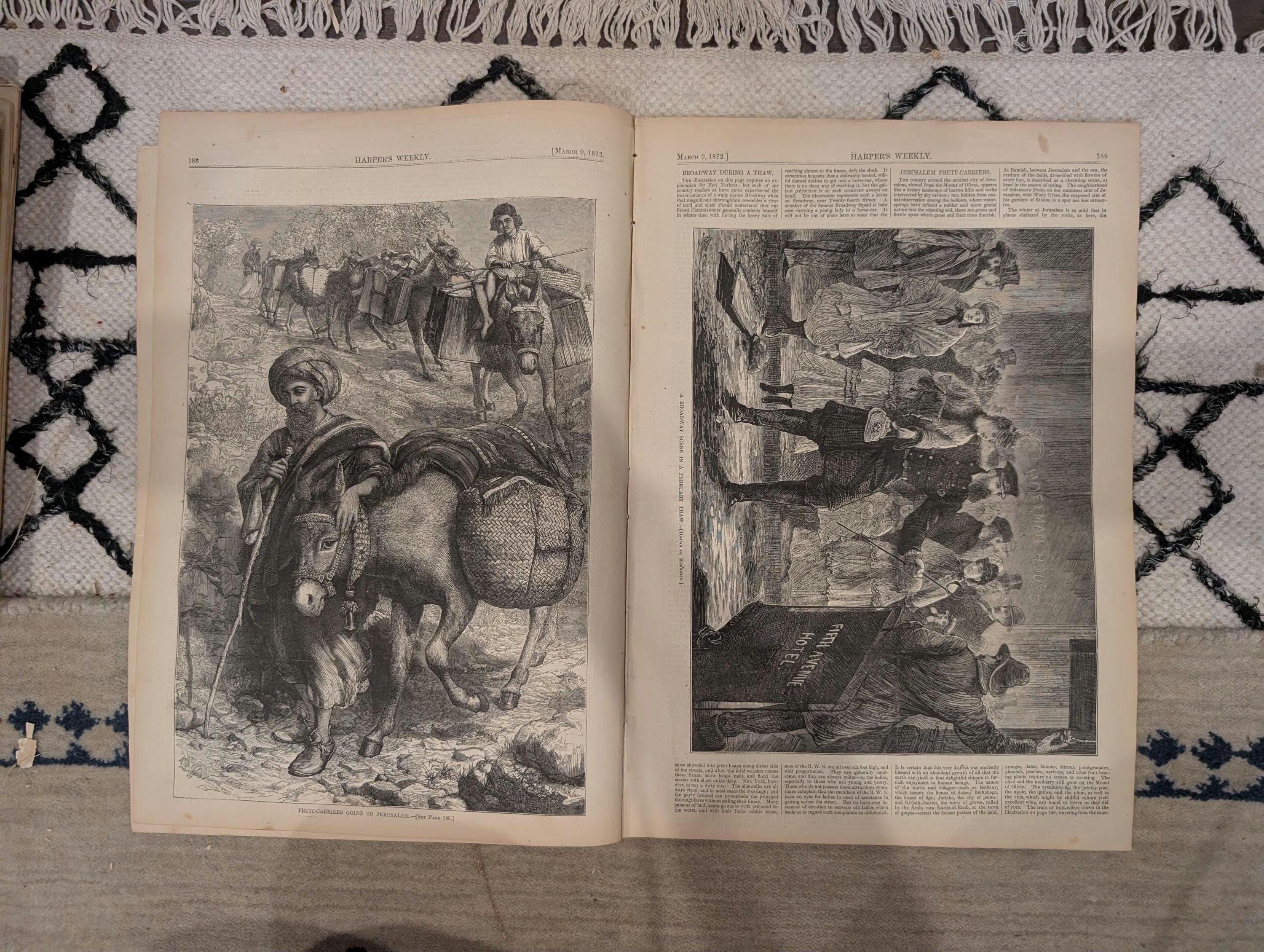 1872 Cheetah Hunting India Harper's Weekly March 09 Broadway February Thaw