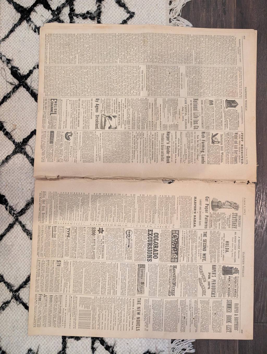 1874 Arctic Bear Hunt, NJ Veterans Reunion, Nast, Harper's Weekly — Aug 8