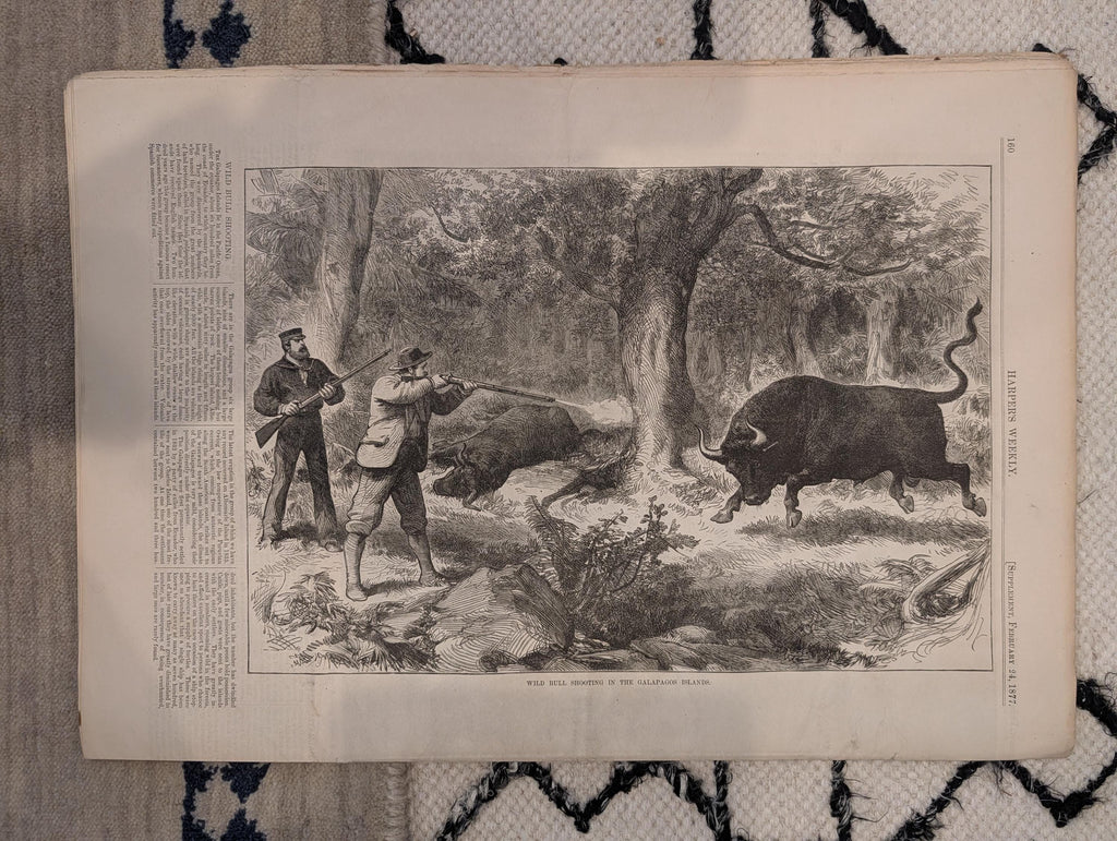 1877 Winslow Homer Backgammon, Central Park Skating, Nast — Feb 24
