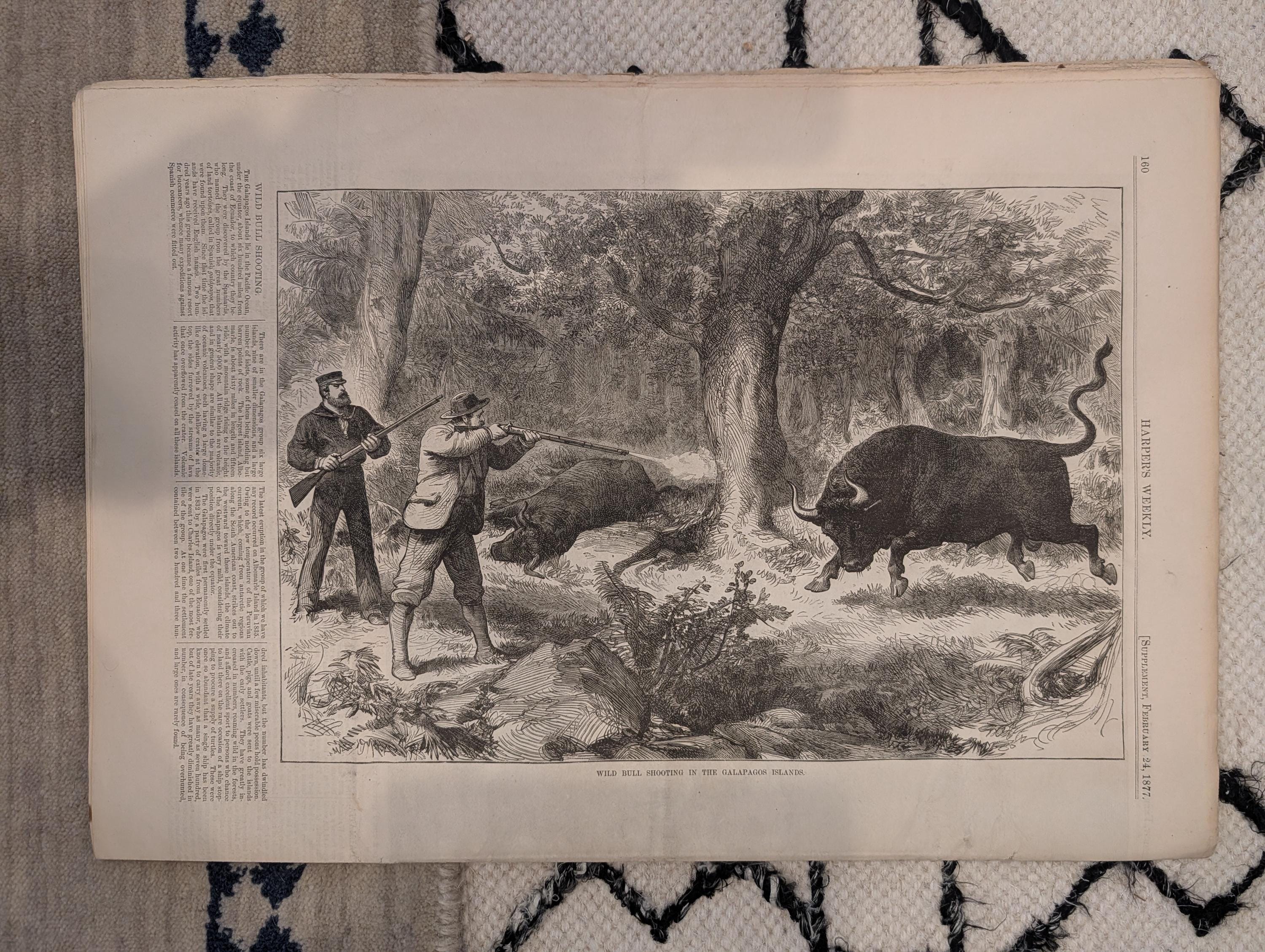 1877 Winslow Homer Backgammon, Central Park Skating, Nast — Feb 24