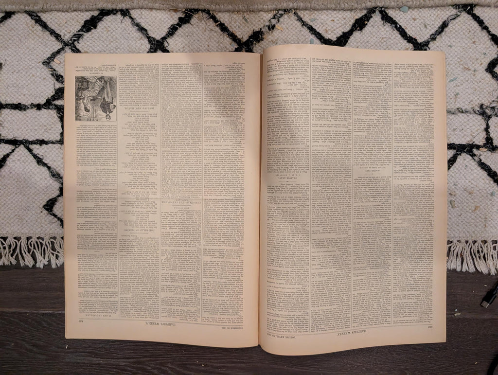 Harper's Weekly 1883 Christmas Morning Dec 29 Soudan War Broadway Blockade