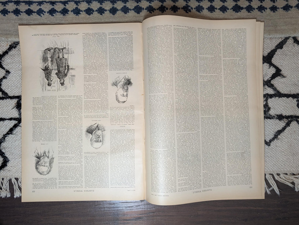 1891 Melbourne Australia 8 Views, Central Park Centerfold, Columbian Expo May 2