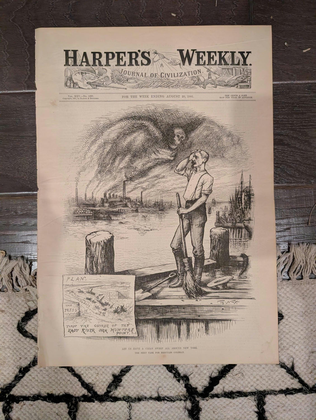 1881 Nast "Clean Sweep NYC," Hunter's Point Sick Room, Negro Laborers Hudson — Aug 20