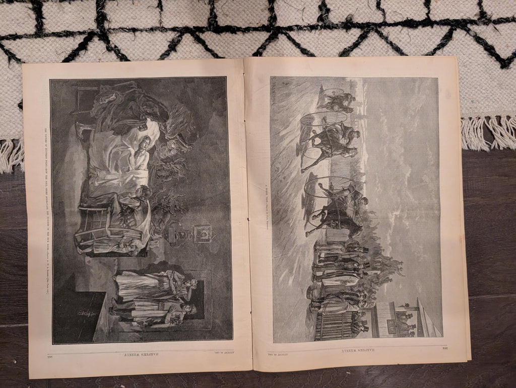 1881 Nast "Clean Sweep NYC," Hunter's Point Sick Room, Negro Laborers Hudson — Aug 20
