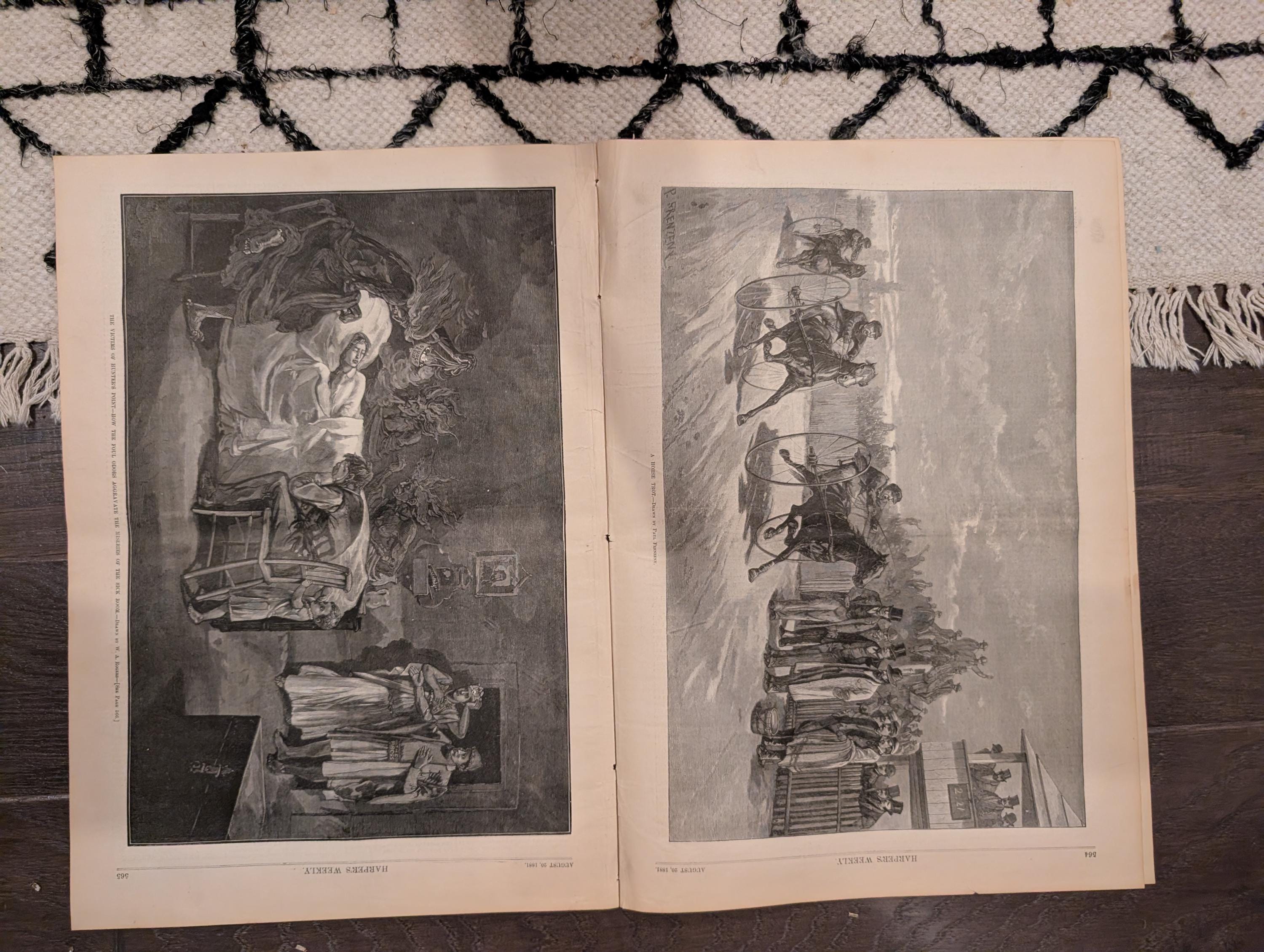 1881 Nast "Clean Sweep NYC," Hunter's Point Sick Room, Negro Laborers Hudson — Aug 20