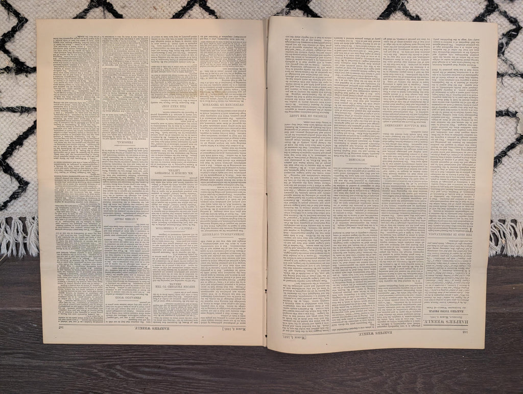 1881 Nast "King Log King Stork," Niagara Winter, Great Thaw Floods, Winchester Cathedral — Mar 5