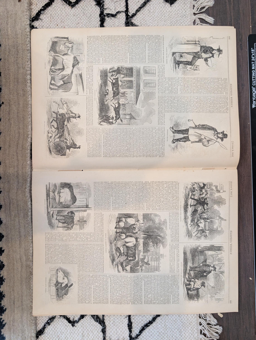 1857 Madeleine Smith Trial Harper's Weekly August 08 New England Cattle Fair