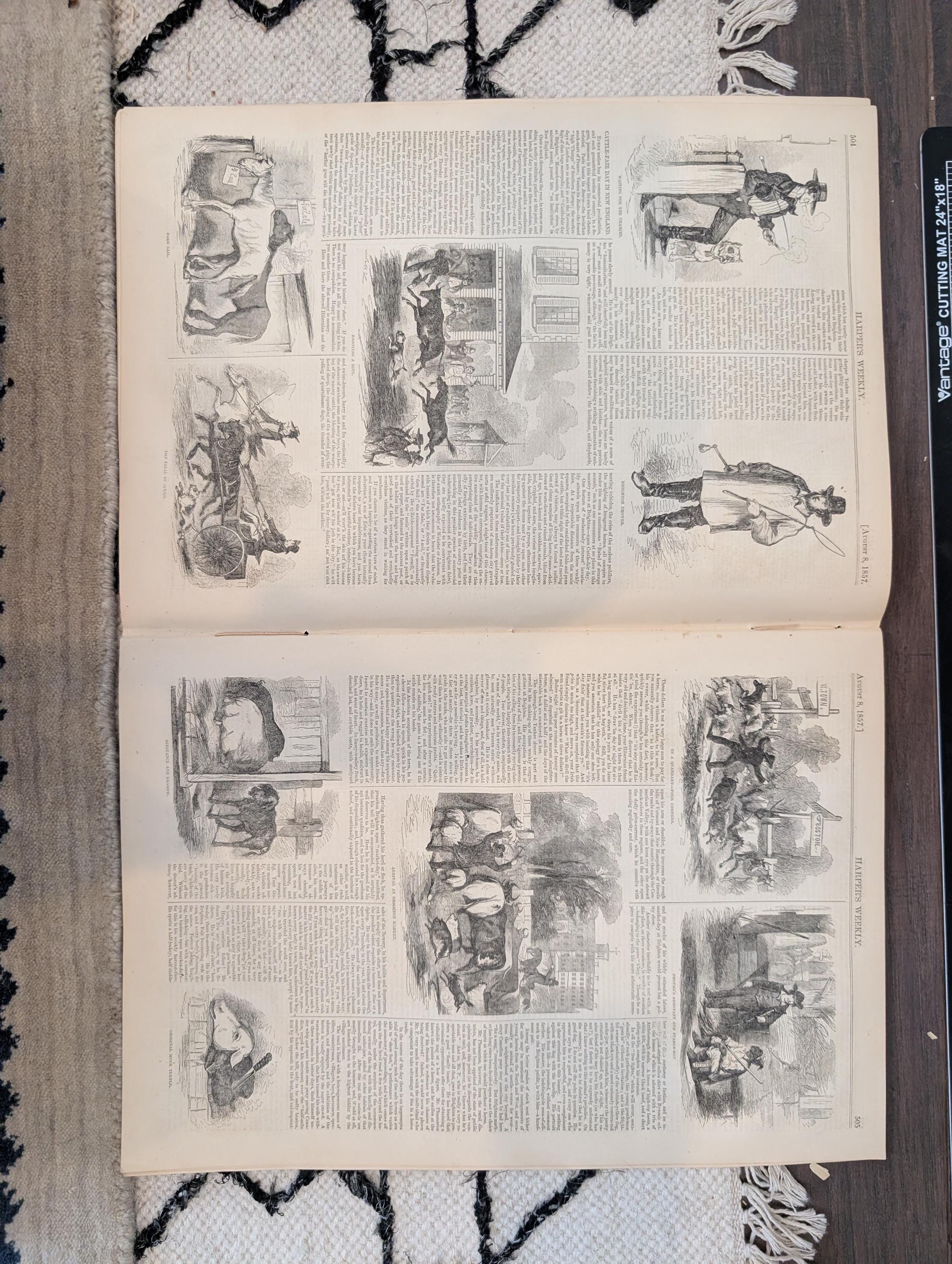 1857 Madeleine Smith Trial Harper's Weekly August 08 New England Cattle Fair