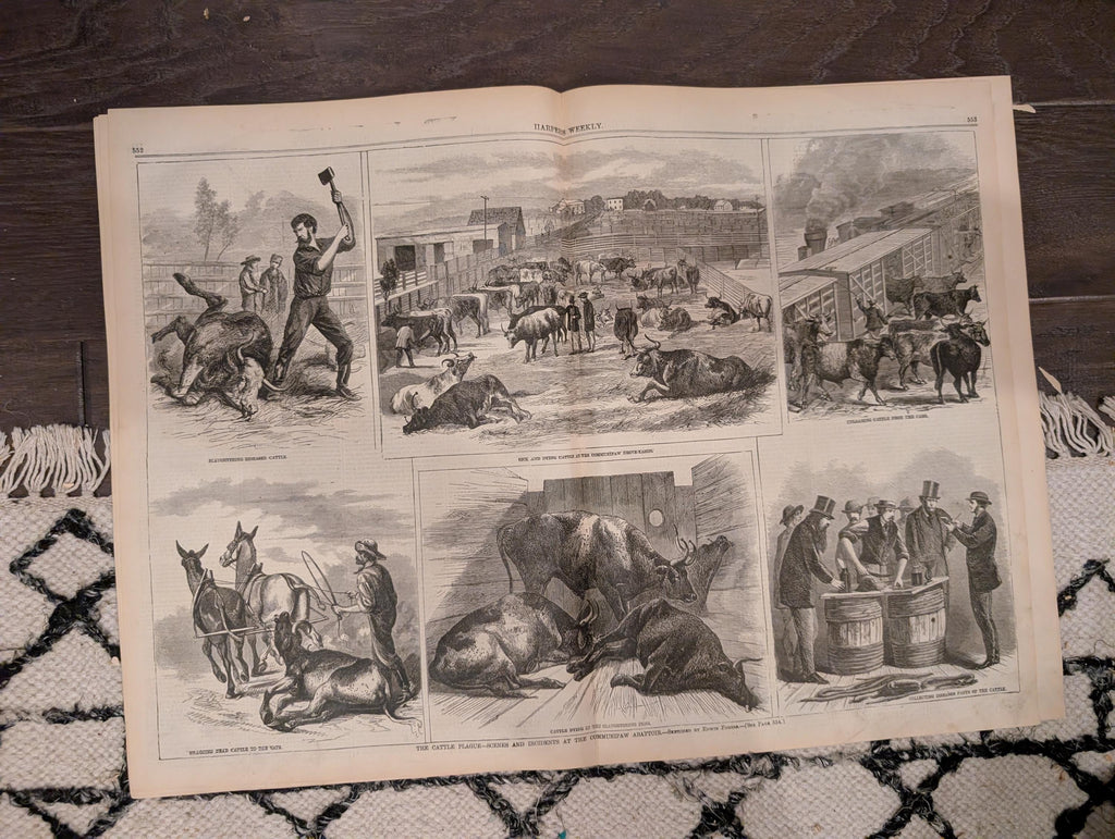 Harper’s Weekly – August 29, 1868 – Thaddeus Stevens Death • Cattle Plague • Methodist Camp Meeting • Shipwreck