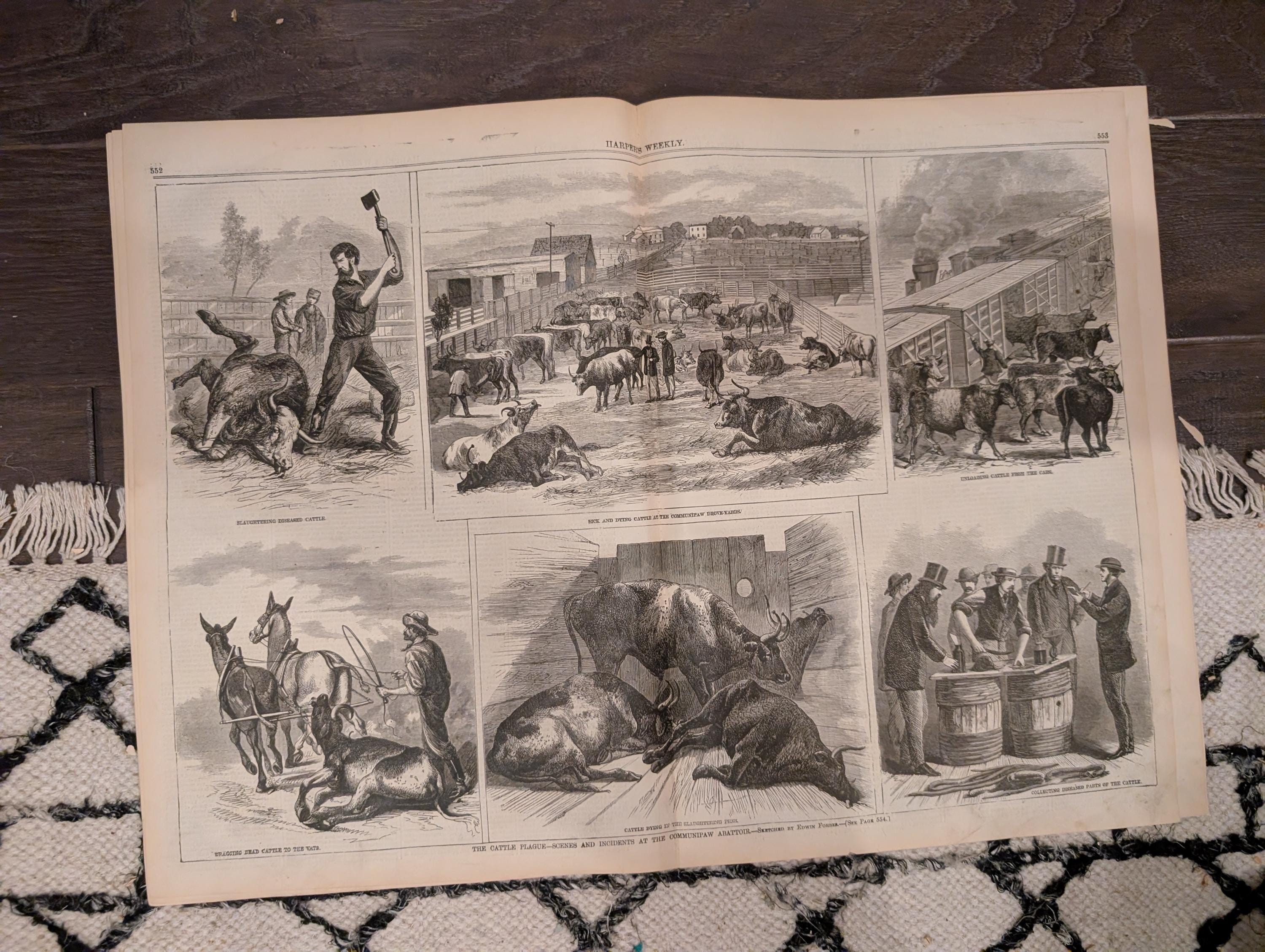 Harper’s Weekly – August 29, 1868 – Thaddeus Stevens Death • Cattle Plague • Methodist Camp Meeting • Shipwreck