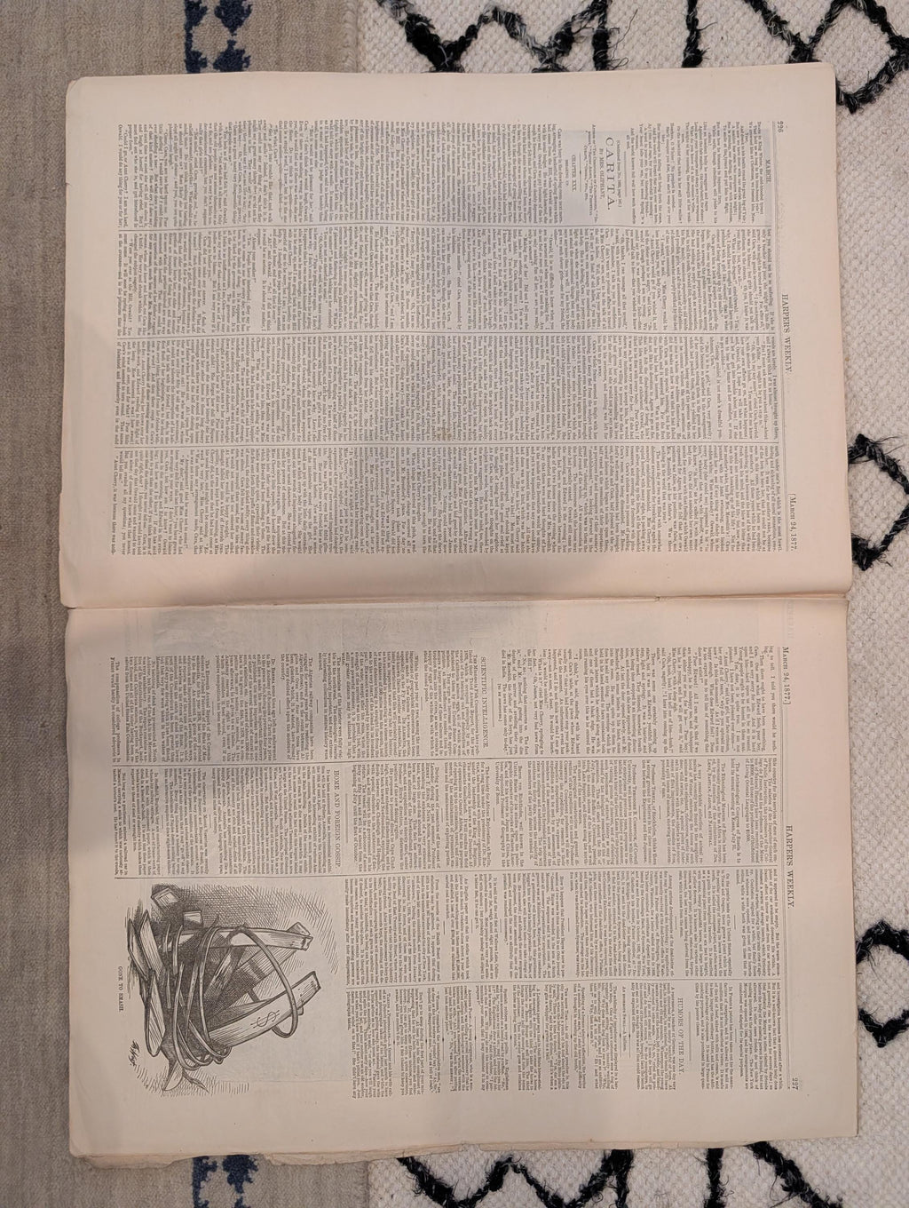 1877 Hayes Inauguration, Wounded GOP Elephant Nast, Coyotes — Mar 24