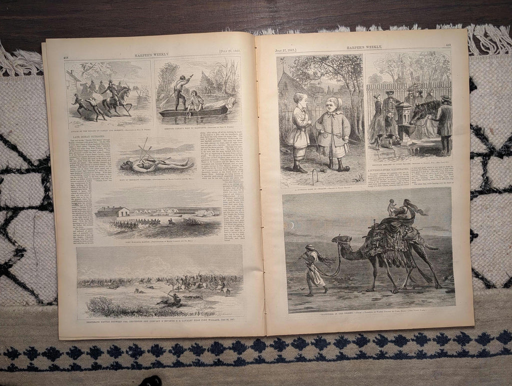1867 Battle Fort Wallace Cheyenne 7th Cavalry, Central Park Swans — Jul 27