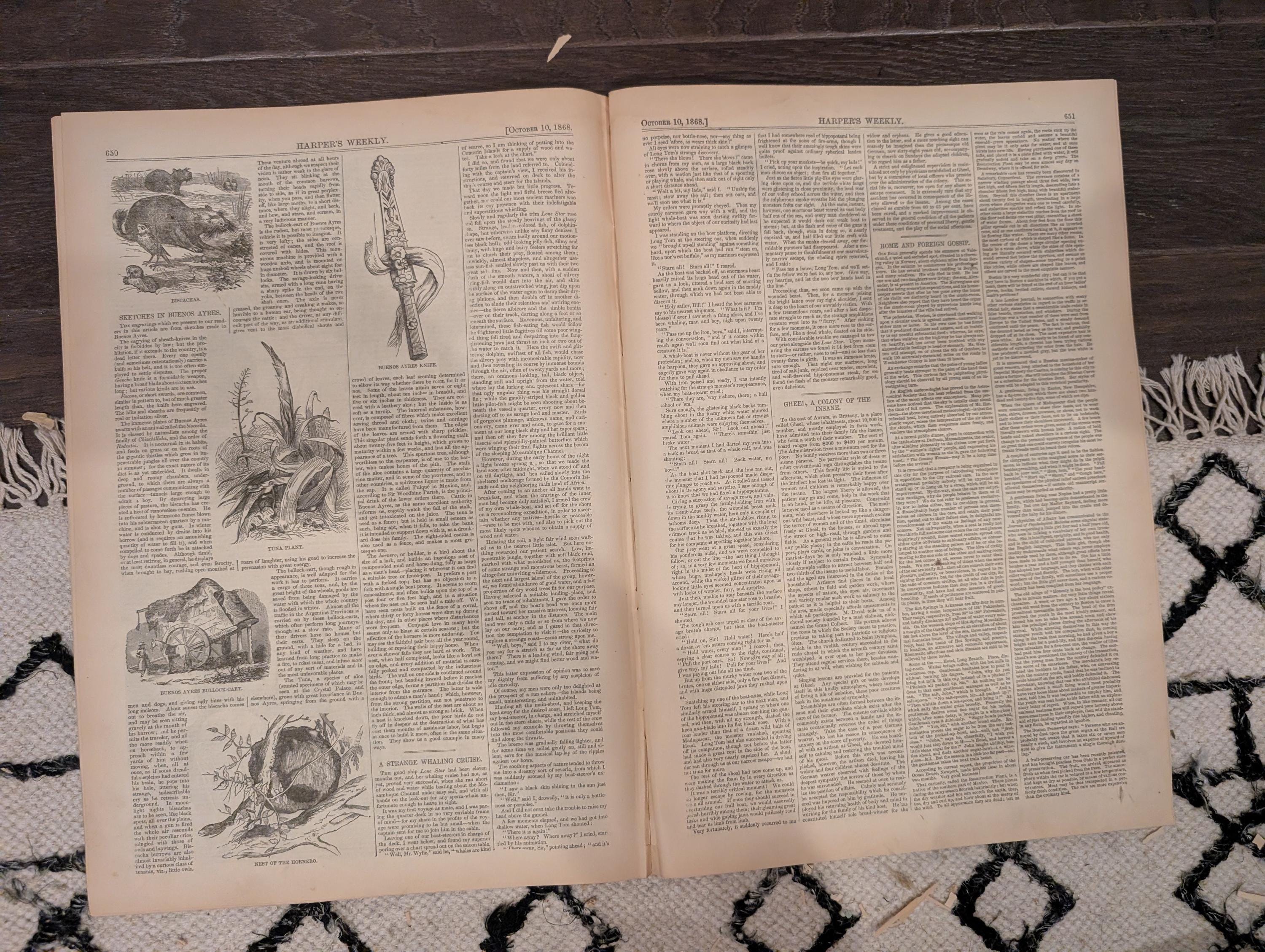 Harper’s Weekly – October 10, 1868 – Black Americana - Water Drinkers in Spain • South American Earthquake Wreck • Paraguayan