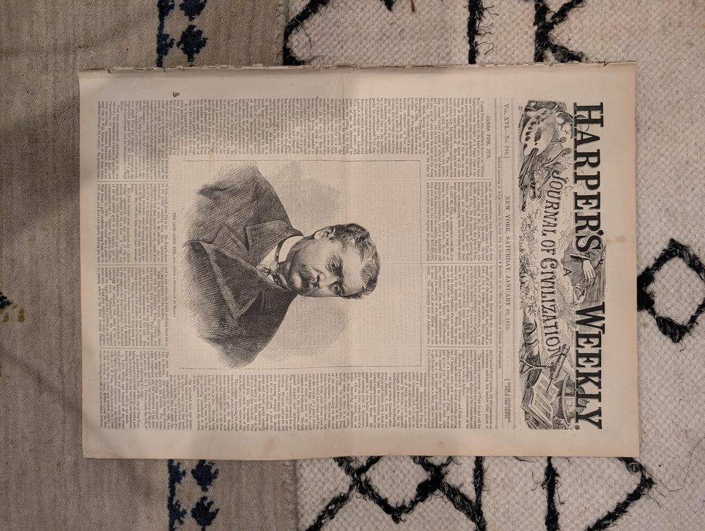 1872 James Fisk Harper's Weekly January 20 Home for Lost Dogs