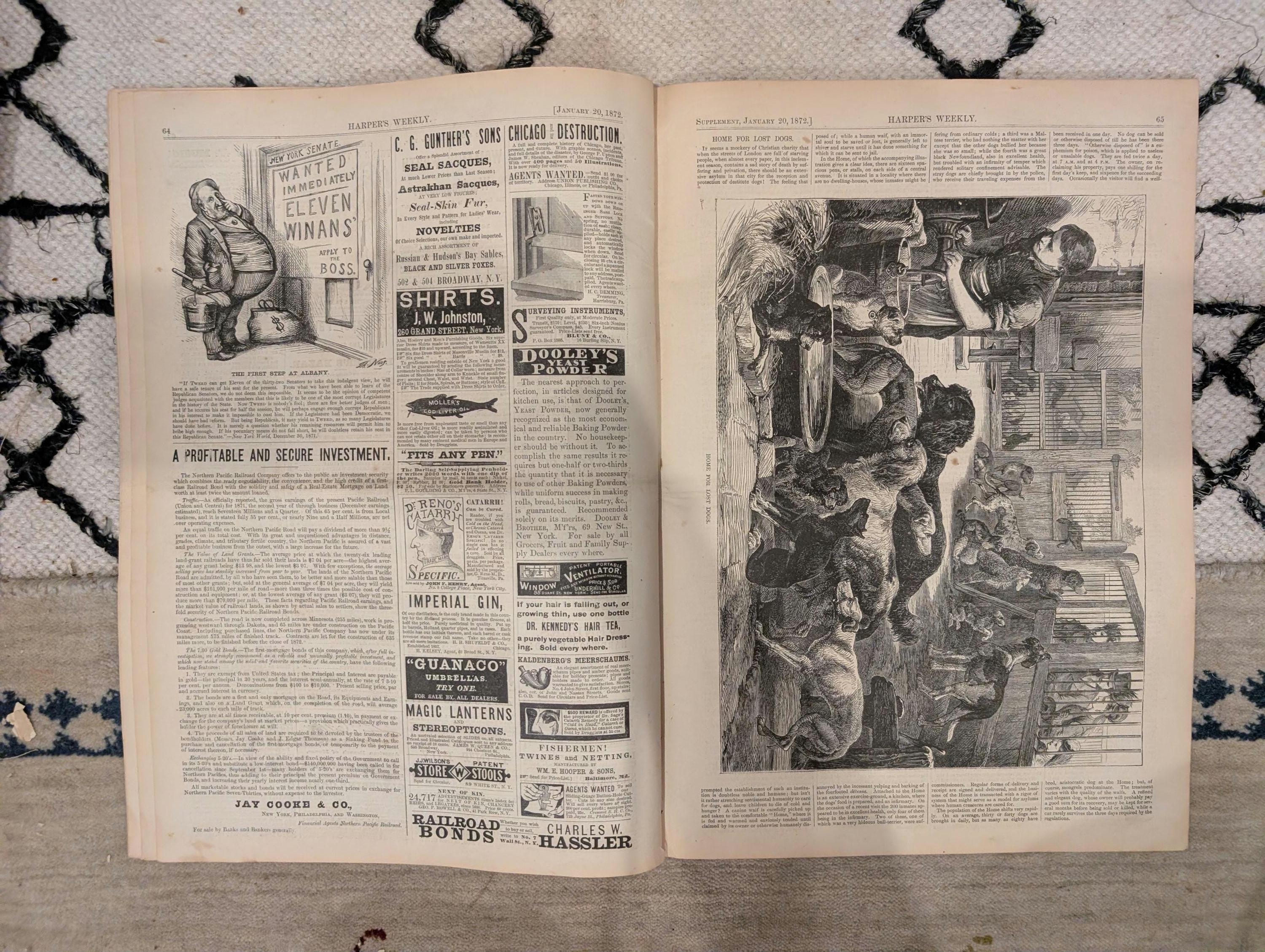 1872 James Fisk Harper's Weekly January 20 Home for Lost Dogs