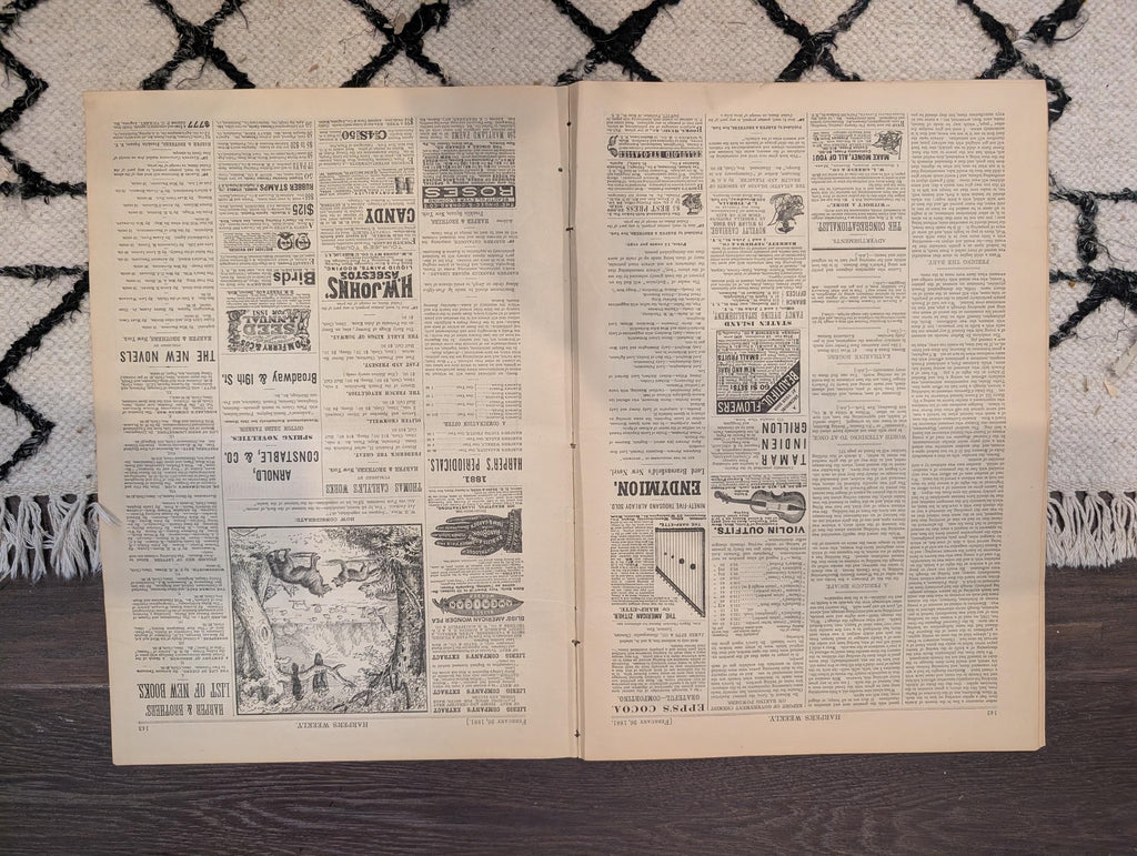 1881 Nast Interior Investigation, Bowery NYC, Valentine's Day, Bicycles vs Skates — Feb 26