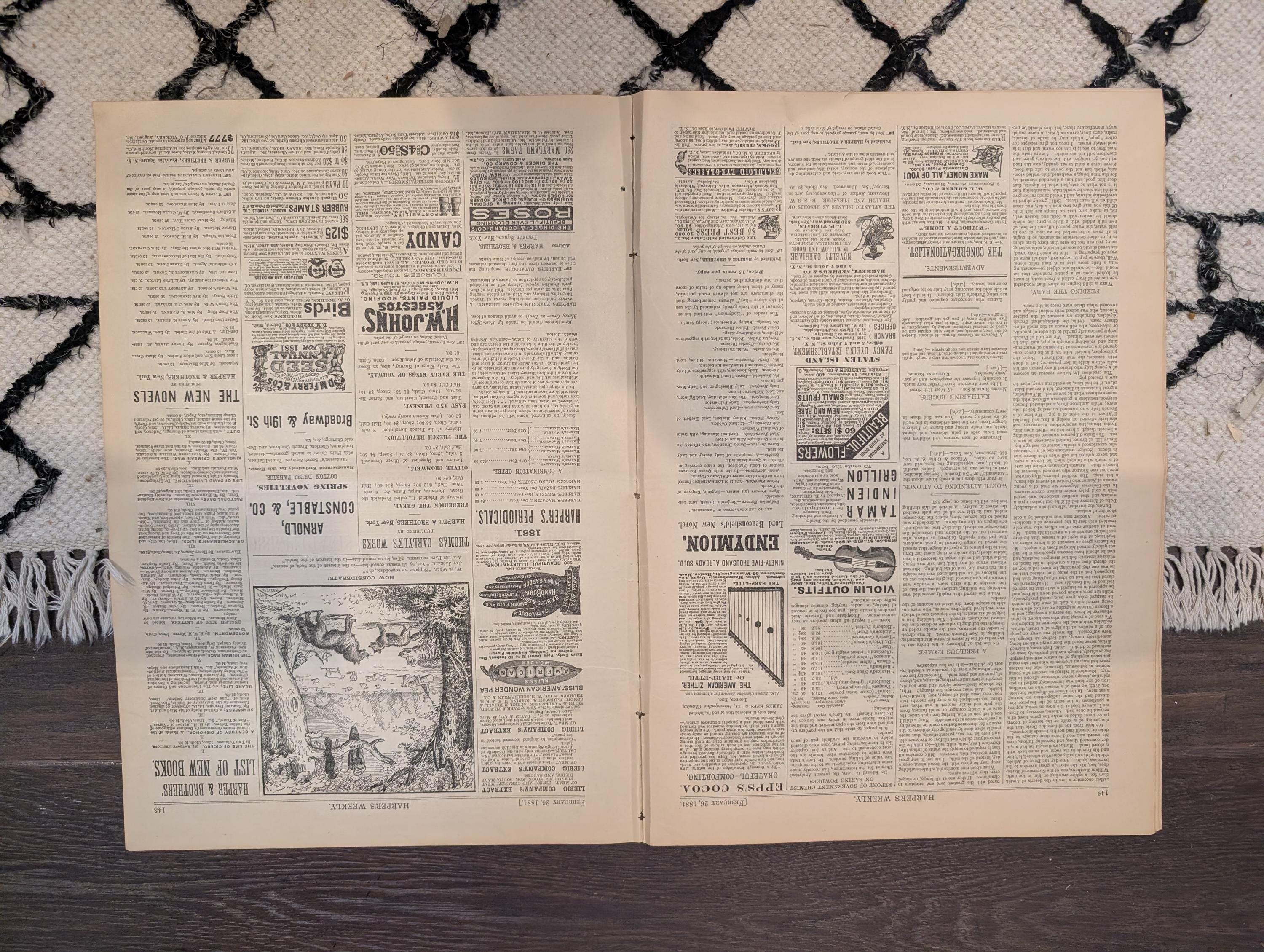 1881 Nast Interior Investigation, Bowery NYC, Valentine's Day, Bicycles vs Skates — Feb 26