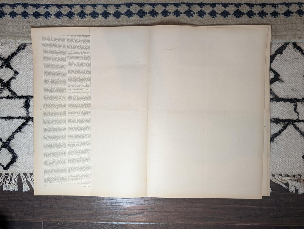 1891 Robert Peary Arctic, Metropolitan Museum Cntfd, Union Square Flowers May 23