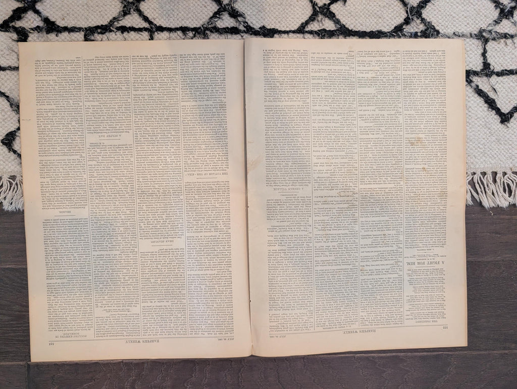1881 Nast "War into Africa," Regatta Lightship, Eira Voyage, Juvenile Laws — Jul 30