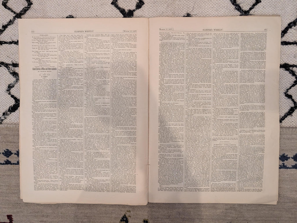 1877 Hayes & First Lady Portraits, Nast, White House, Polar Bears — Mar 17