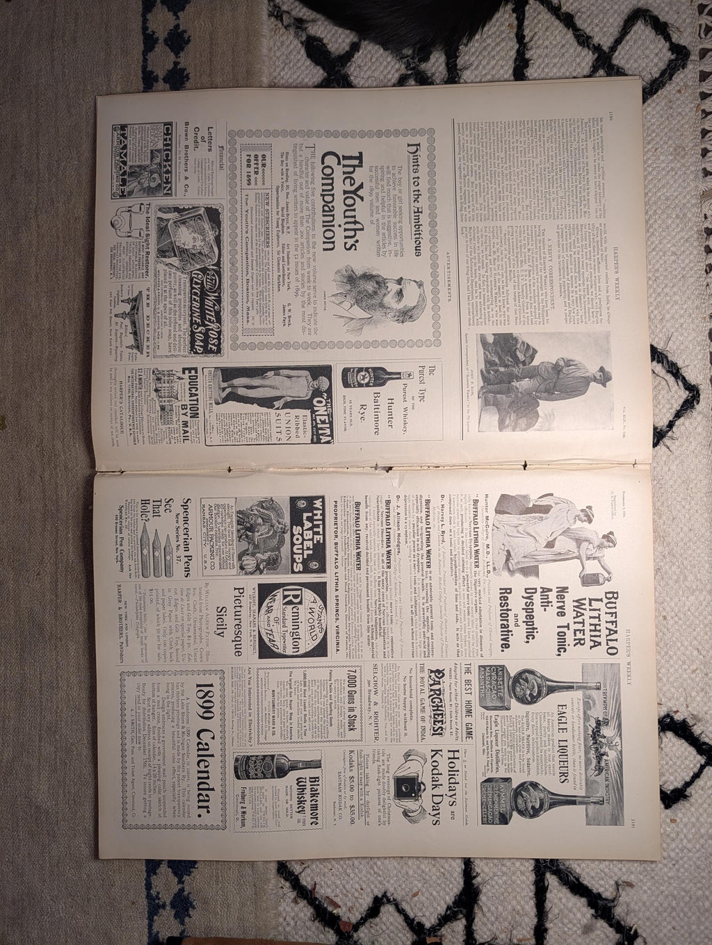 1898 Art Treasures of New York Centerfold, Jamaica, Ponce Puerto Rico — Dec 3