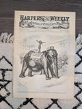 1881 Nast Republican Elephant Front Page, Seal Hunting, Life-Saving Service  Apr 16