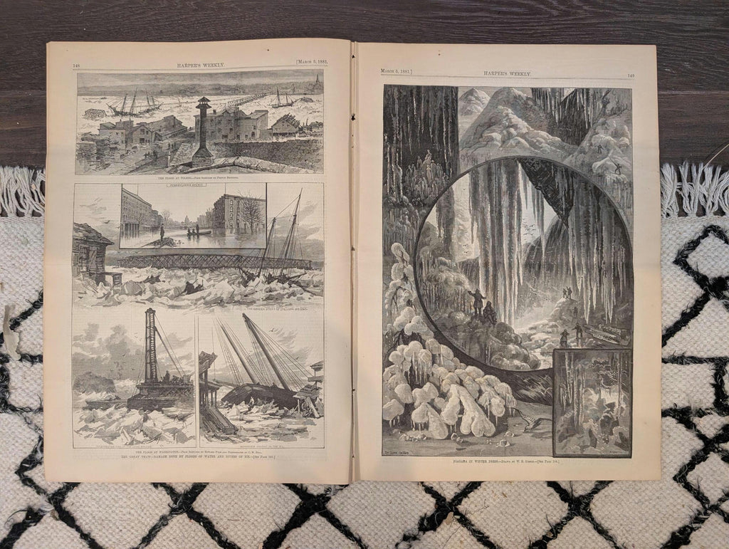 1881 Nast "King Log King Stork," Niagara Winter, Great Thaw Floods, Winchester Cathedral — Mar 5