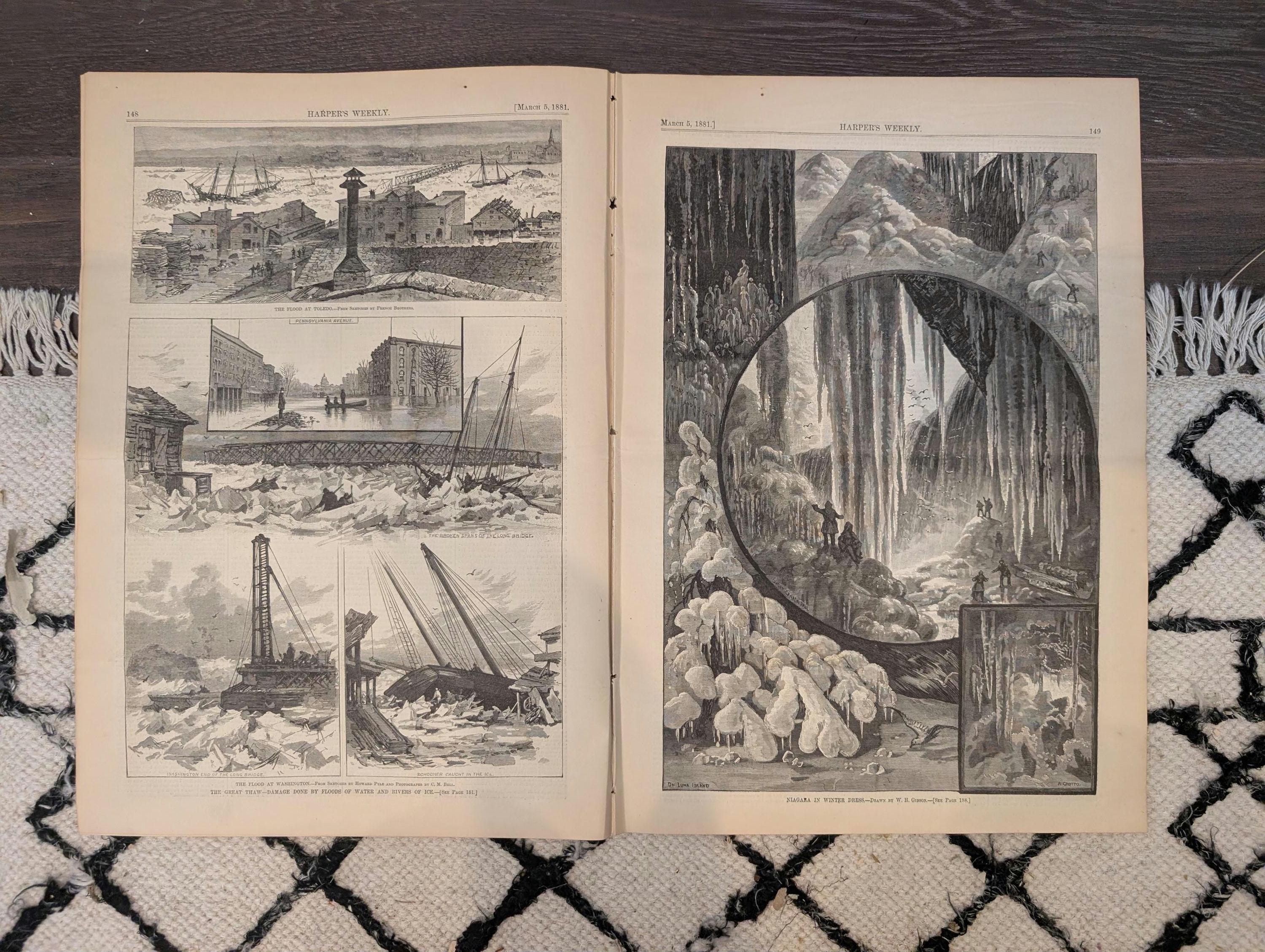 1881 Nast "King Log King Stork," Niagara Winter, Great Thaw Floods, Winchester Cathedral — Mar 5