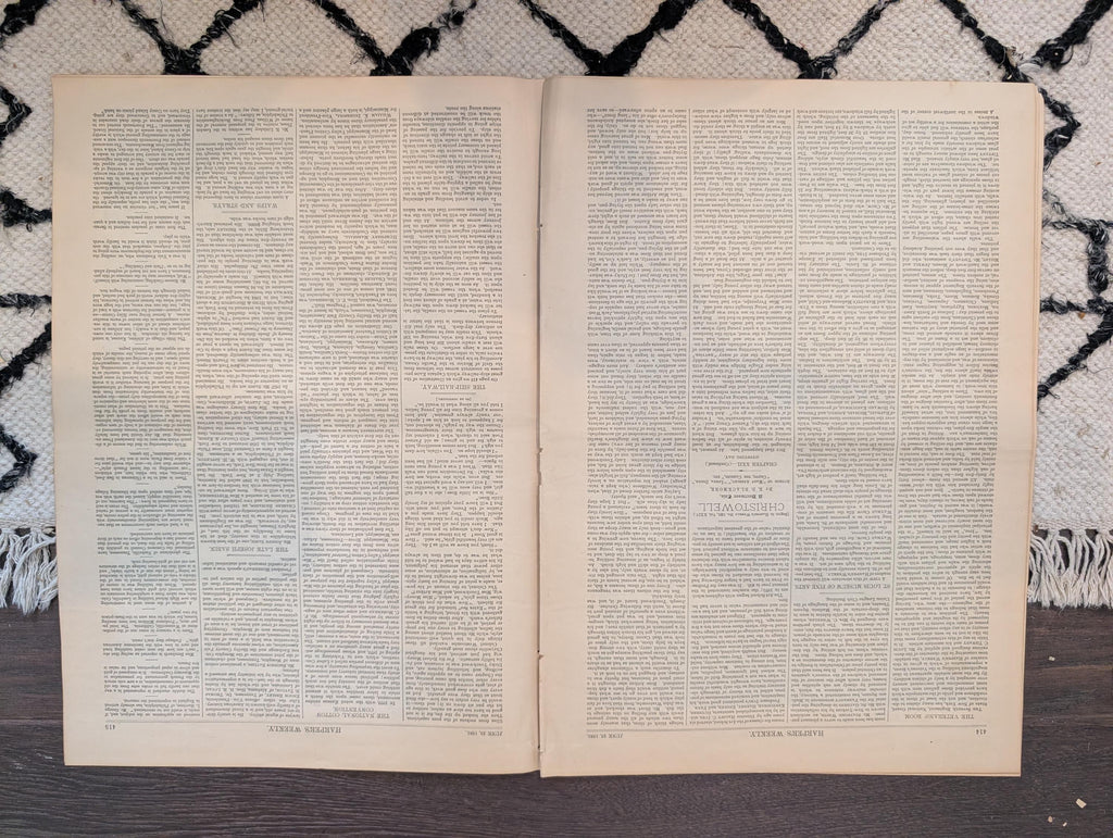 1881 Nast "Falling Off of Bosses," Malta Sailors, 7th Regiment Armory — Jun 25