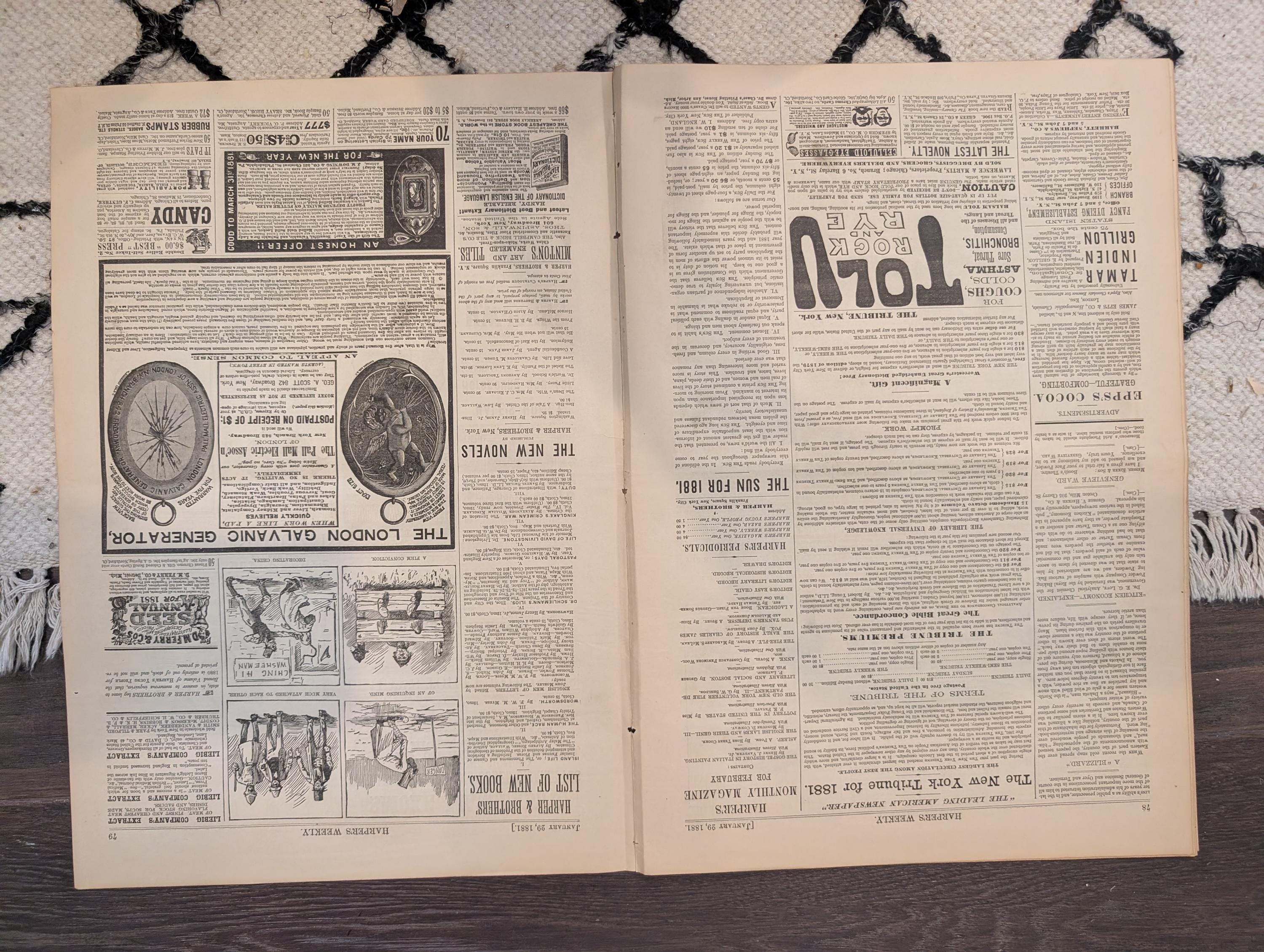 1881 Nast Foreign Encroachment, Prairie Blizzard, Ice Blockade, January Thaw NYC — Jan 29