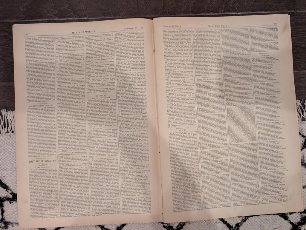 Harper’s Weekly – December 12, 1868 – Whipping Post • Alaska Interior • Newsboys in Richmond • Philadelphia Tragedy • Madrid Execution Scaff