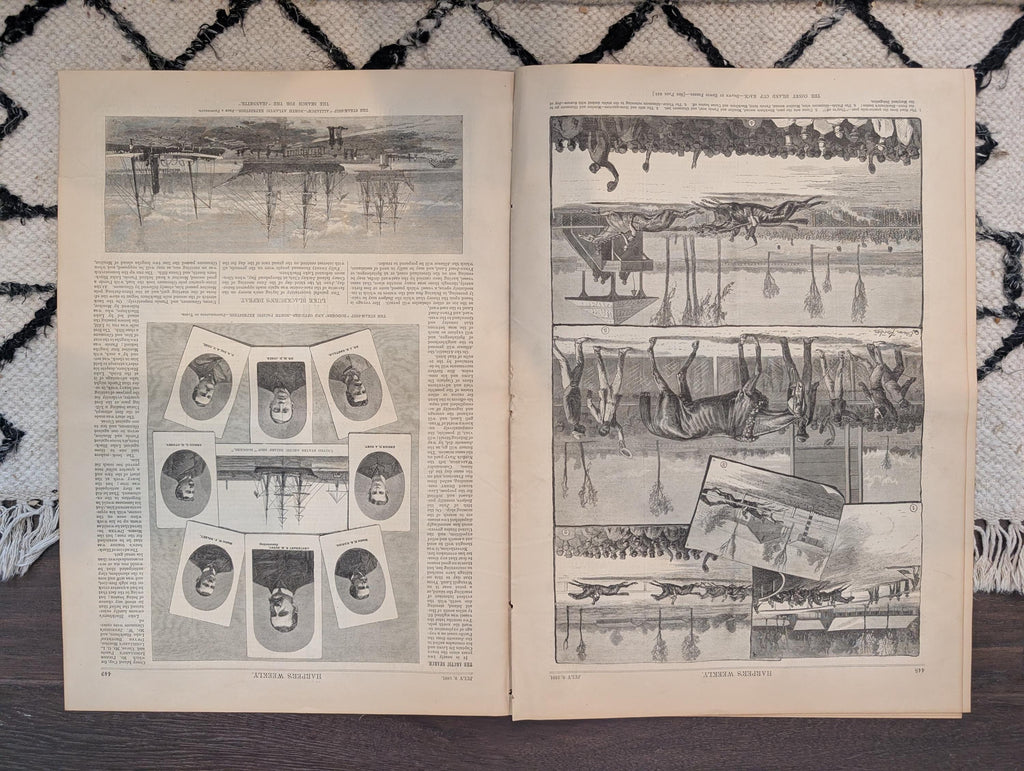 1881 Coney Island Pigeon Shooting, Yacht Racing, Nast "Pound Him" — Jul 9