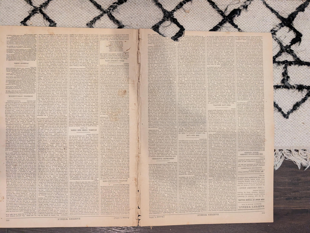 1874 Arctic Bear Hunt, NJ Veterans Reunion, Nast, Harper's Weekly — Aug 8