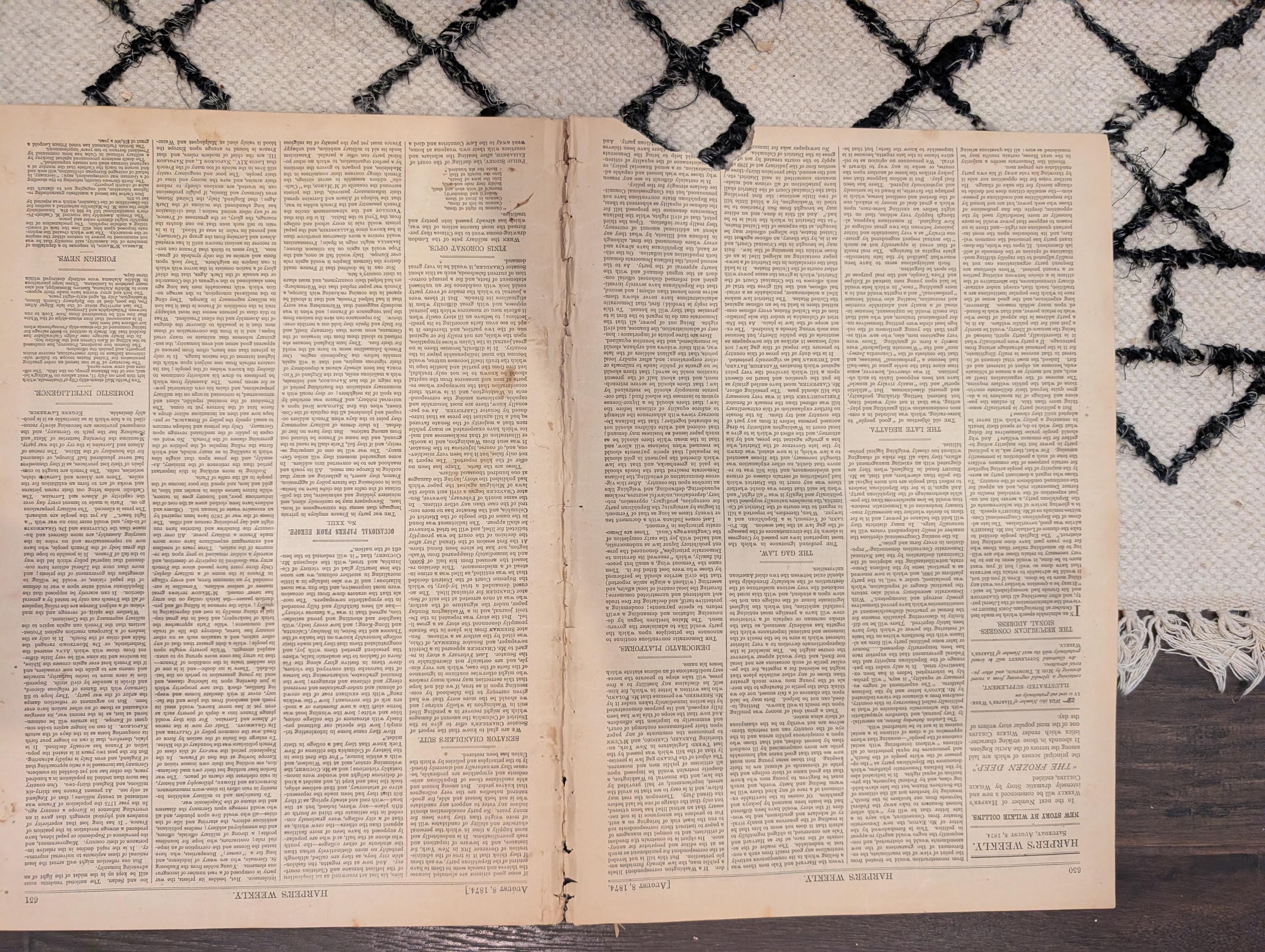 1874 Arctic Bear Hunt, NJ Veterans Reunion, Nast, Harper's Weekly — Aug 8