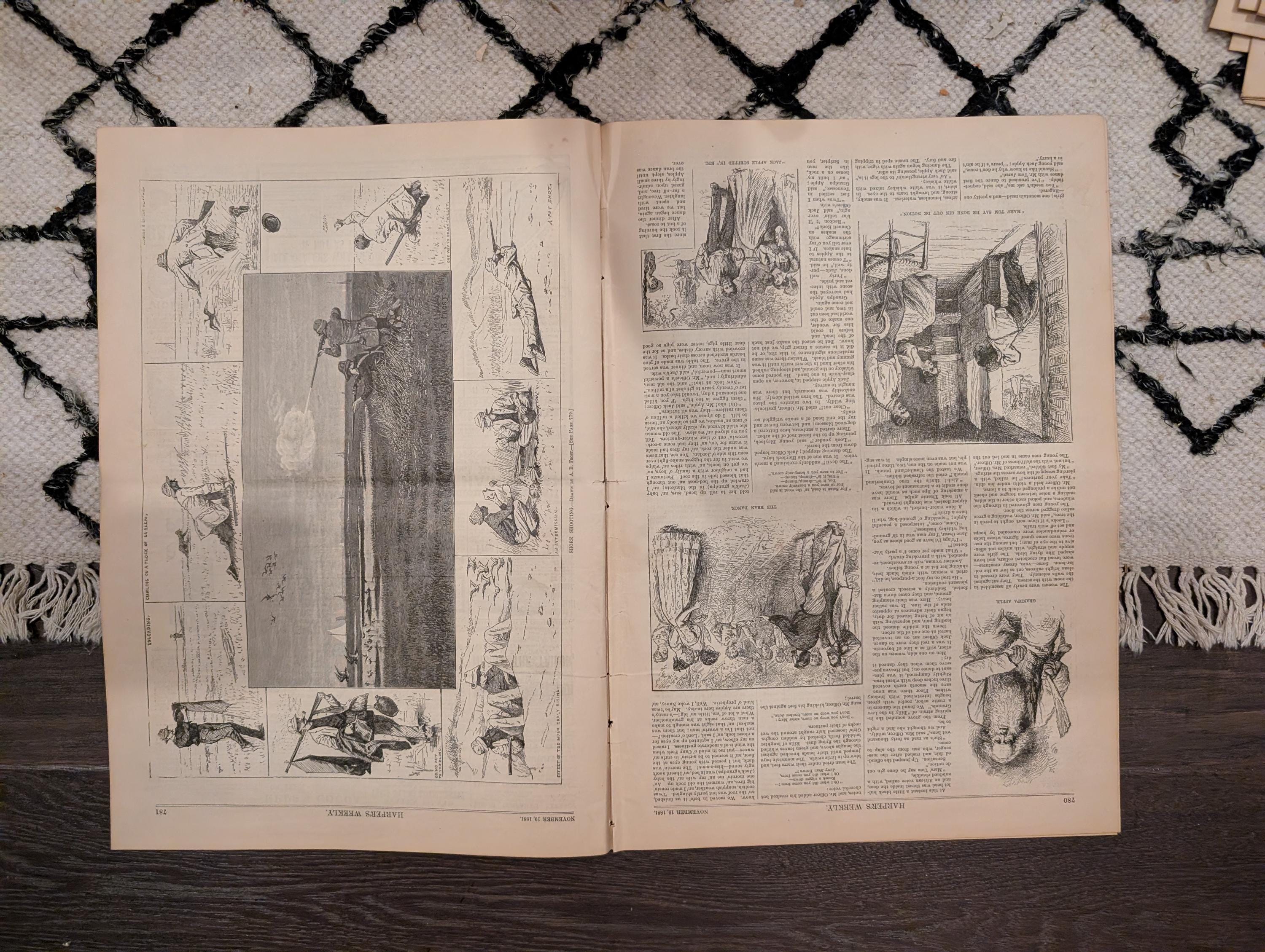 1881 America's Cup Race, Grand Street Tenement Disaster, Shore Shooting — Nov 19