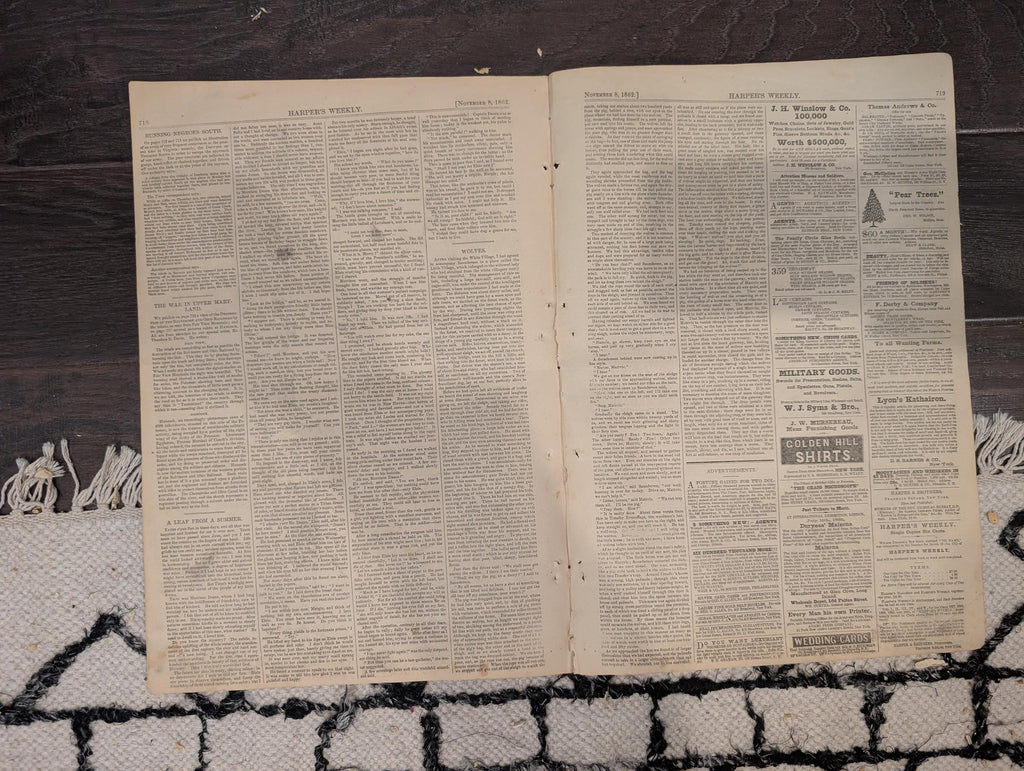 Harper’s Weekly – November 8, 1862 – Mrs. Lincoln • Rosecrans • “Negroes Driven South” Centerfold