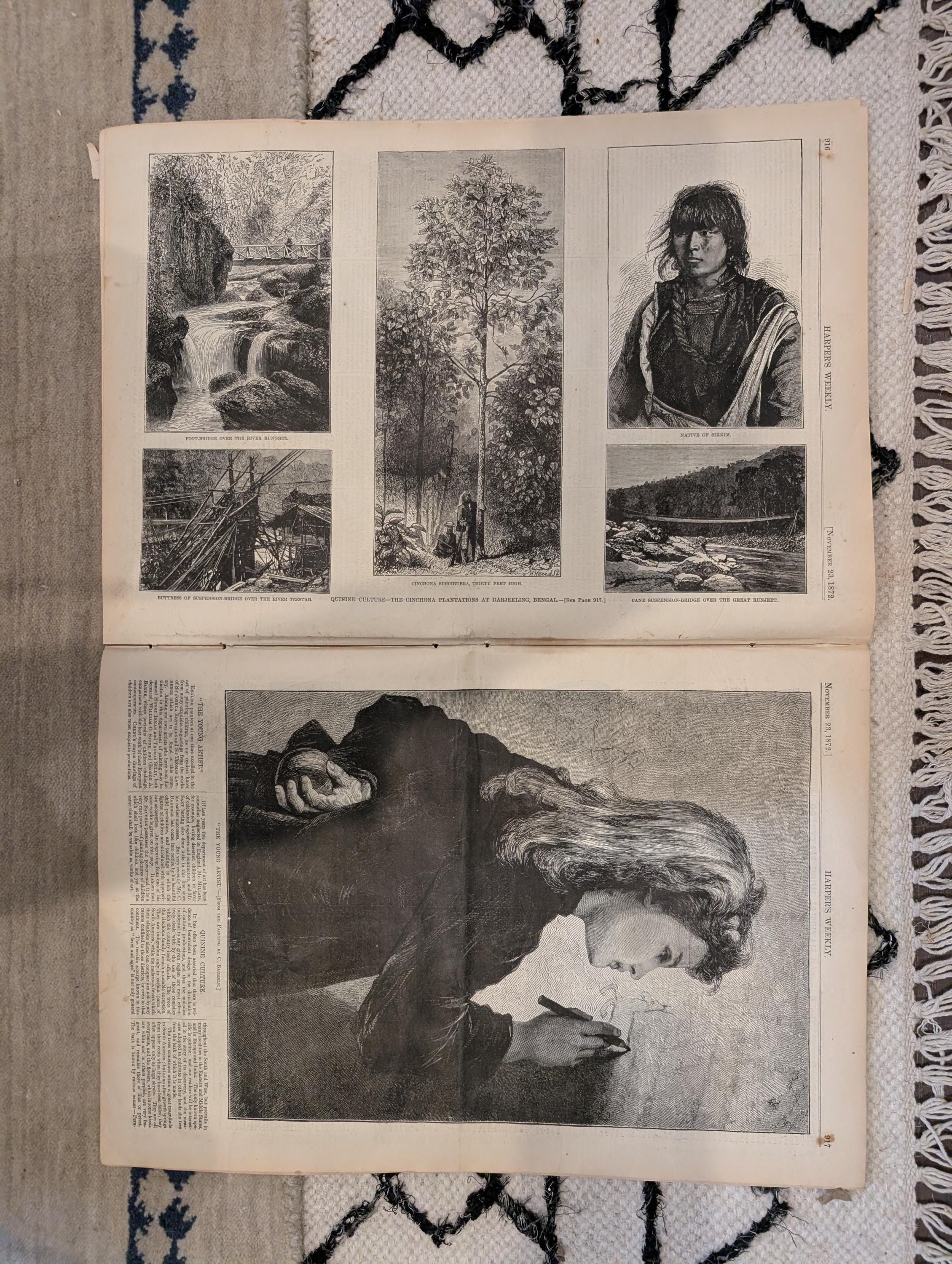1872 Nast Clasping Hands Harper's Weekly Nov 23 Horse Plague Darjeeling
