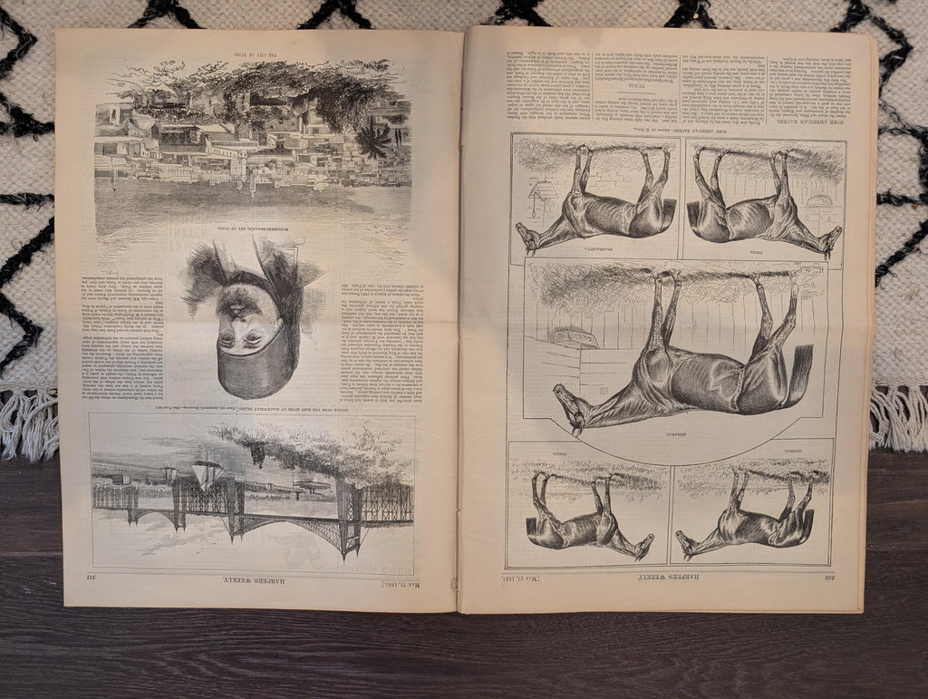 1881 Nast Citizen Beaver, St. Paul Floods, 7th Regiment Musical Festival — May 21