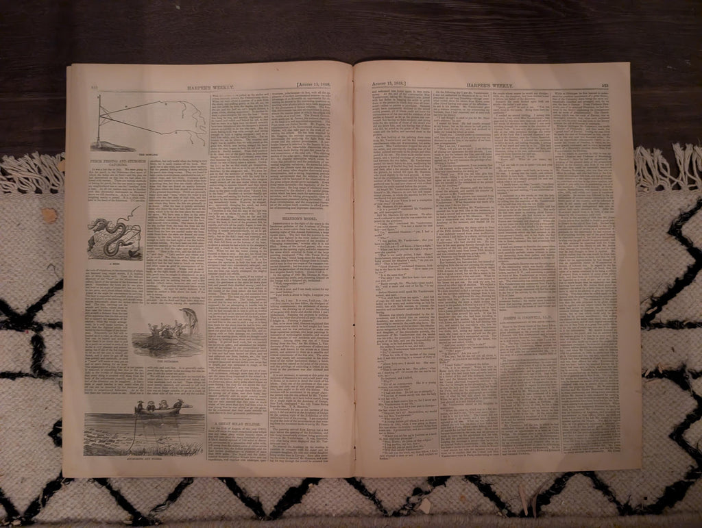 Harper’s Weekly August 15 1868 Thomas Nast Reconstruction Castle Garden Maryland Flood Zouaves Virginia Hunting