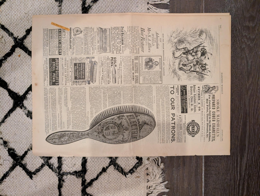 1881 Nast Double, Coney Island Summer, Cyclone Minnesota, Newtown Creek Queens — Aug 6