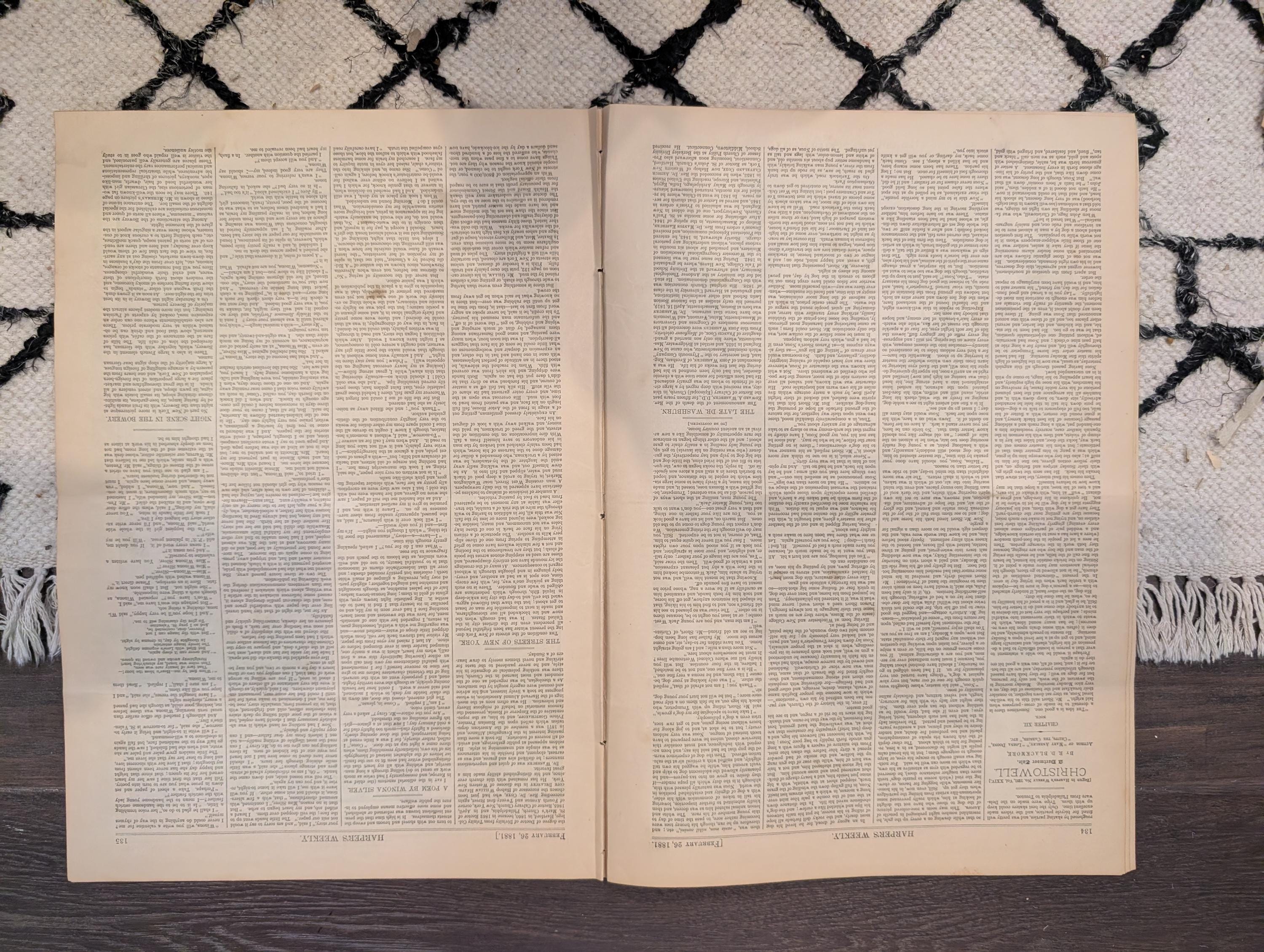 1881 Nast Interior Investigation, Bowery NYC, Valentine's Day, Bicycles vs Skates — Feb 26