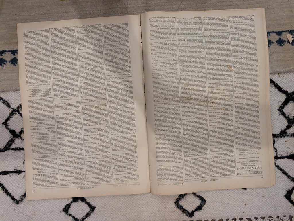 1872 James Fisk Harper's Weekly January 20 Home for Lost Dogs