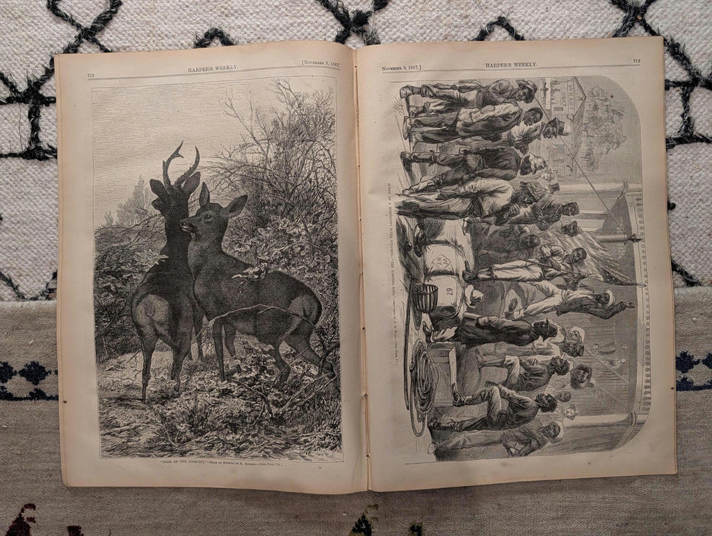 1867 Mississippi River Blacks, Lehigh University, Delta of Mississippi — Nov 9