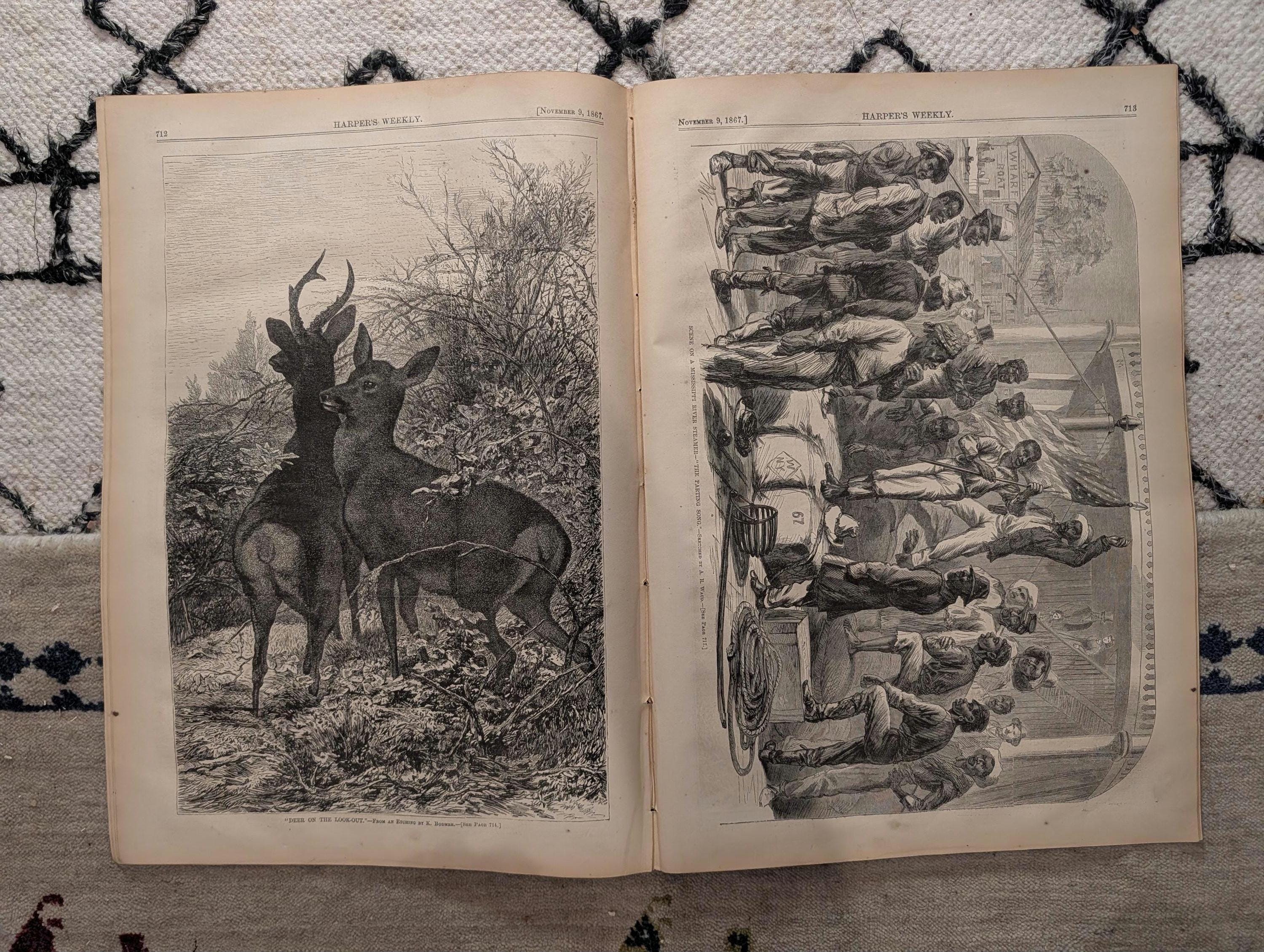 1867 Mississippi River Blacks, Lehigh University, Delta of Mississippi — Nov 9