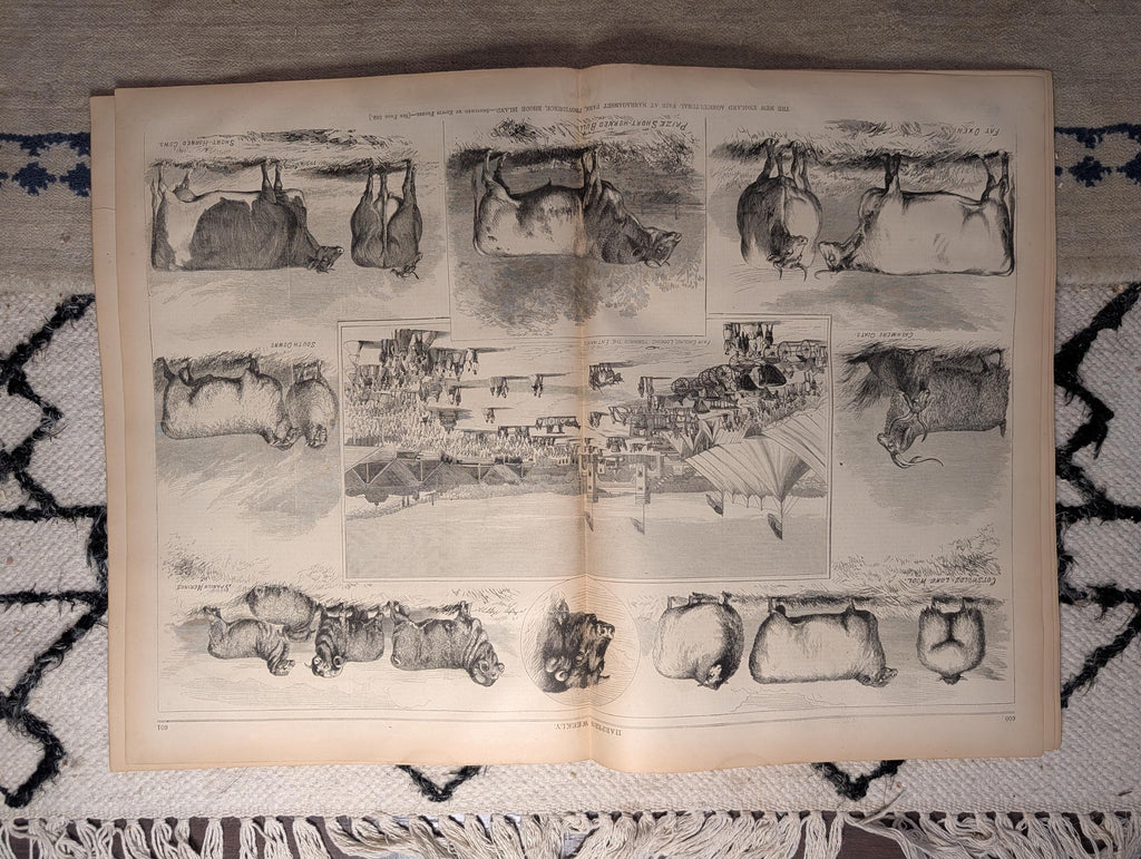 1867 Admiral Farragut & Empress of France, Seal Hunting, Agri Fair — Sep 21