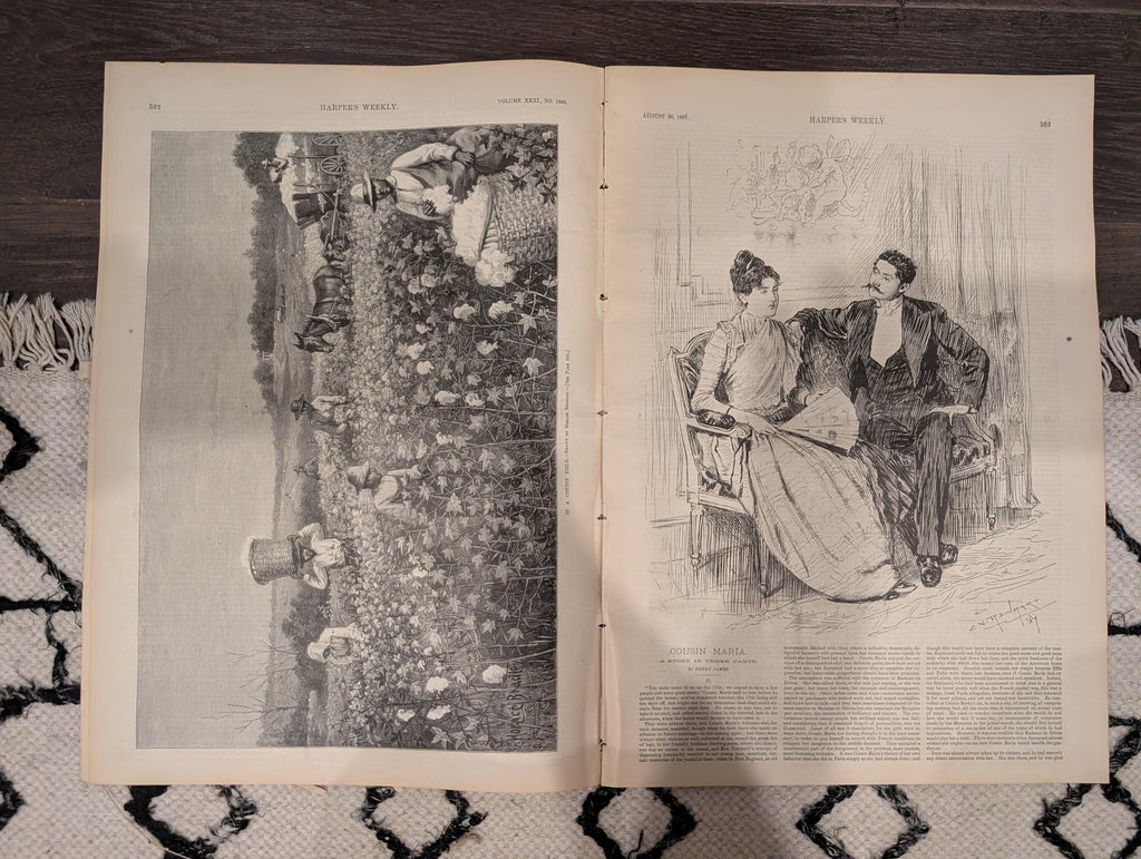 Harper’s Weekly – August 20, 1887 – Illinois Railroad Disaster, Cotton Picking in the South, Great Northern Views, Pears Soap Ad & More