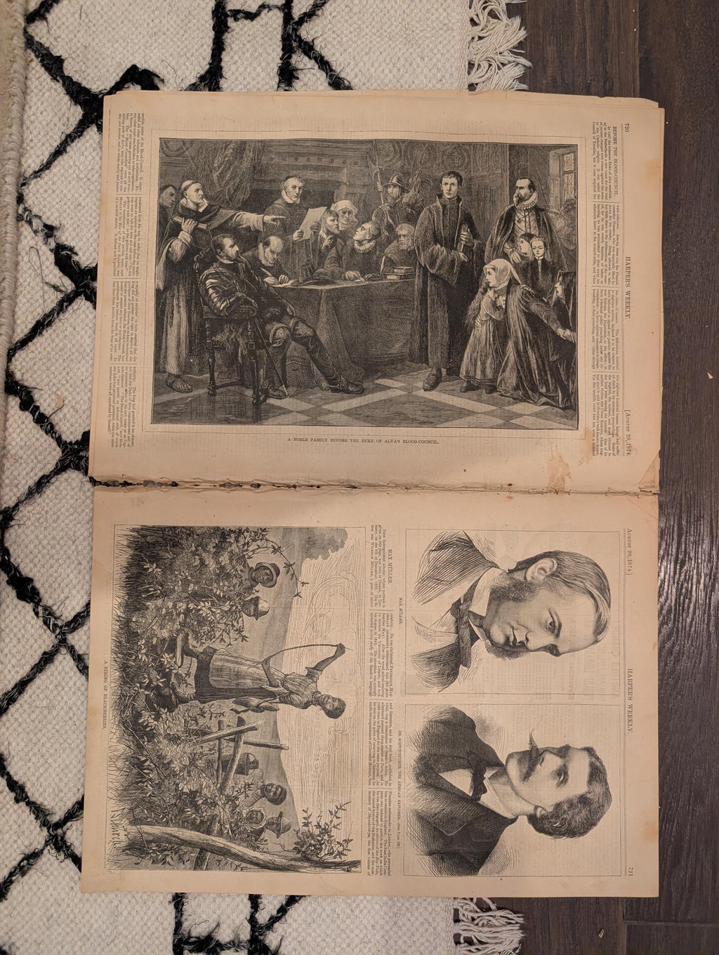 1874 Nast Freedom Jubilee Pardon · Warwick Castle · Blackberries — Harper's Weekly Aug 29