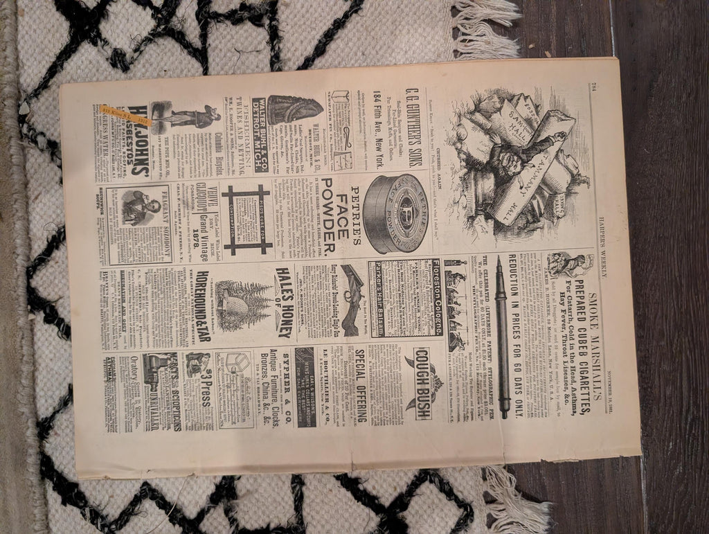 1881 America's Cup Race, Grand Street Tenement Disaster, Shore Shooting — Nov 19