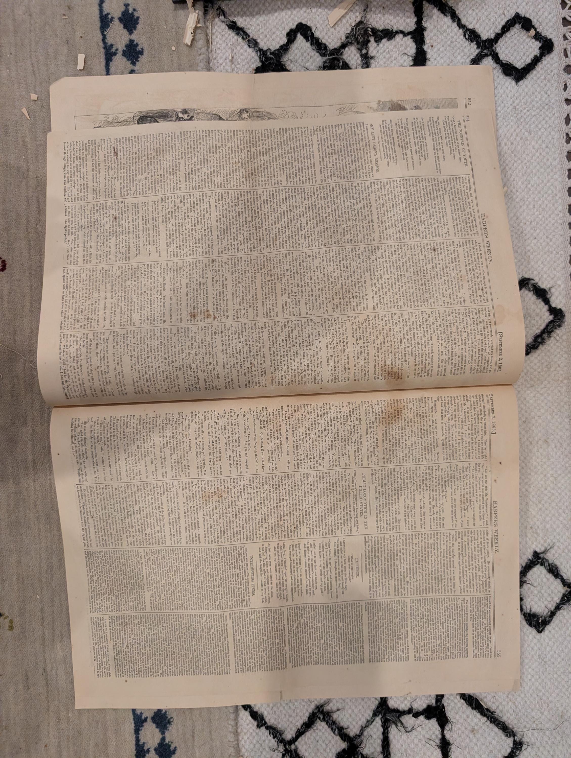 1865 Sept 2  Castle Garden Immigrants, Housatonic Railroad Disaster, Wall Street