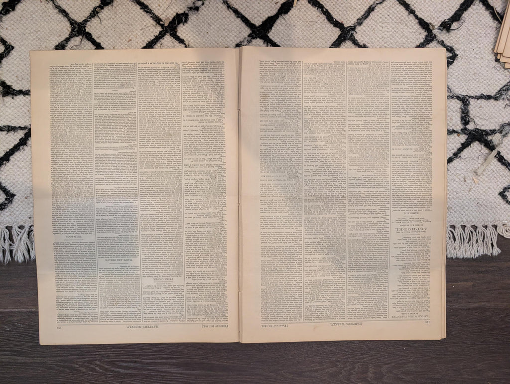1881 Nast Interior Investigation, Bowery NYC, Valentine's Day, Bicycles vs Skates — Feb 26